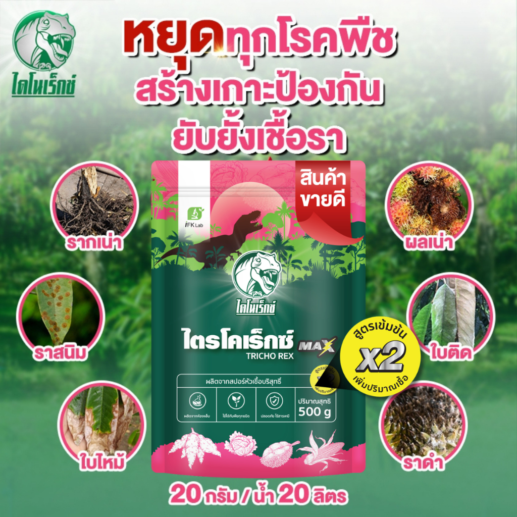 ไตรโคเดอร์มา [ไตรโคเร็กซ์ แม็กซ์] ตราไดโนเร็กซ์ กำจัดเชื้อราโรคพืช โรครากเน่า-โคนเน่า โรคใบจุด พืชทุกชนิด ปลอดภัย100%