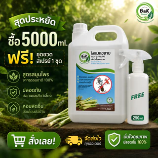 สเปรย์ไล่แมลงสาบ ไล่มด ไล่ยุง ไล่แมลง Cockroaches Ants Mosquitos & Insect-Free B and K Natural