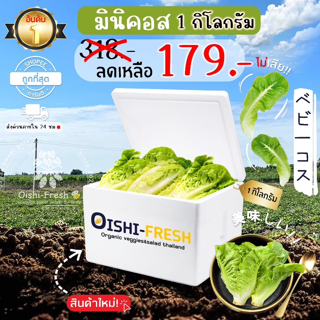 🛒Oishi-Fresh🥬 เบบี้คอส ปลอดสารพิษ 1 กก. รสชาติกรอบ สด ใหม่ ใยอาหารสูง หวานออร์แกนิค ผัก เคลมได้ 1-2 วัน