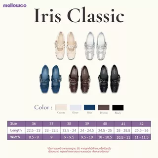 Mellowco รุ่น Iris Classic Ballet รองเท้าบัลเล่ต์สายเข็มขัด M8-4427 / MH-6107 / MC-6516