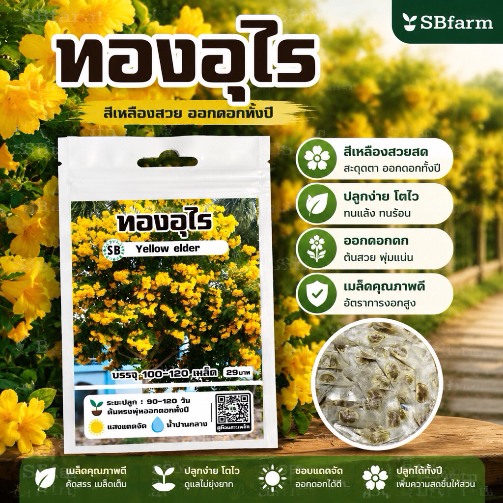 เมล็ดทองอุไร - เหลืองสวย/ออกดอกทั้งปี [100-120เมล็ด/ซอง]