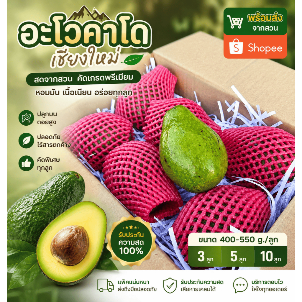 AVO DOI อโวคาโดสดจำนวน 1 กิโลกรัม ขนาด 3-4 ลูก ดอยอ่างขาง