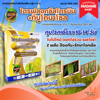 ใหม่! ไตรฟลอกซีสโตรบิน+ทีบูโคนาโซล 250 กรัม (เสือเกษตร) ตัวเดียวกับนาติโว สารกำจัดโรคพืช ป้องกันและรักษา คุมโรคนาน 10-14