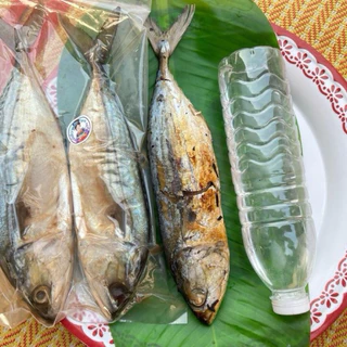ปลาทูมันหอมเค็มน้อย 3-4ตัวโล มีไซร้ใหญ่ๆ เลือกไซร้ได้ เนื้อเเน่นทำสดใหม่ ไม่ตุไม่เละ ทำใหม่ทุกวัน เค็มน้อยดองเกลือ1คืน