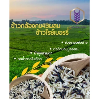 ข้าวกล้องผสมไรซ์เบอร์รี่ แพคสุญญากาศ 1 กิโลกรัม ตราทรัพย์ธนา หุงง่าย อร่อย