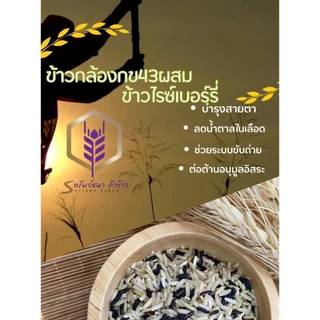ข้าวกล้องผสมไรซ์เบอร์รี่ แพคสุญญากาศ 1 กิโลกรัม ตราทรัพย์ธนา หุงง่าย อร่อย