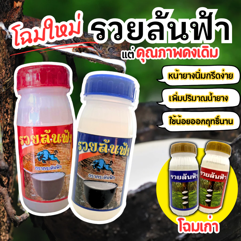 ยาทาหน้ายาง รวยล้นฟ้า สูตร 3 พลัง หน้ายางกรีดง่าย หน้ายางไม่เกิดรา น้ำยางออกเต็มหน้า ใช้น้อยออกฤทธิ์ยาวนาน