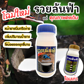 ยาทาหน้ายาง รวยล้นฟ้า สูตร 3 พลัง หน้ายางกรีดง่าย หน้ายางไม่เกิดรา น้ำยางออกเต็มหน้า ใช้น้อยออกฤทธิ์ยาวนาน
