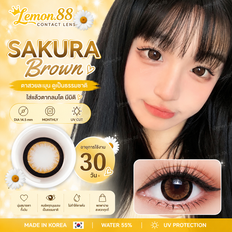 คอนแทคเลนส์ รุ่น Sakura/Edge สีเทา/ตาล Gray/Brown มีค่าสายตา (0.00)-(-10.00)
