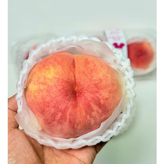 🍑 Premium Fukushima Peach - ลูกพีชญี่ปุ่นแท้ นำเข้าจากเมืองฟุกุชิมะ
