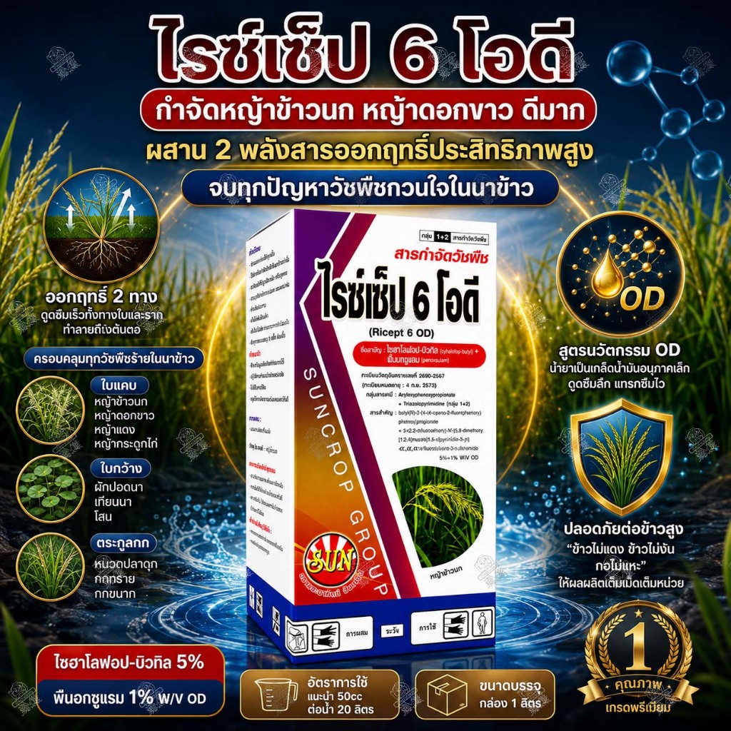 (1 ลิตร) ไซฮาโลฟอป-บิวทิล + พีนอกซูแลม 5% + 1% OD ไรซ์เซ็ป 6 โอดี กำจัดวัชพืชในนาข้าว ใบแคบ ใบกว้าง
