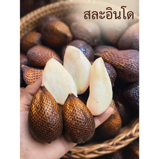 สละอินโดแท้ สดใหม่ เนื้อกรอบ หวานอมเปรี้ยว ลูกใหญ่กำลังดี