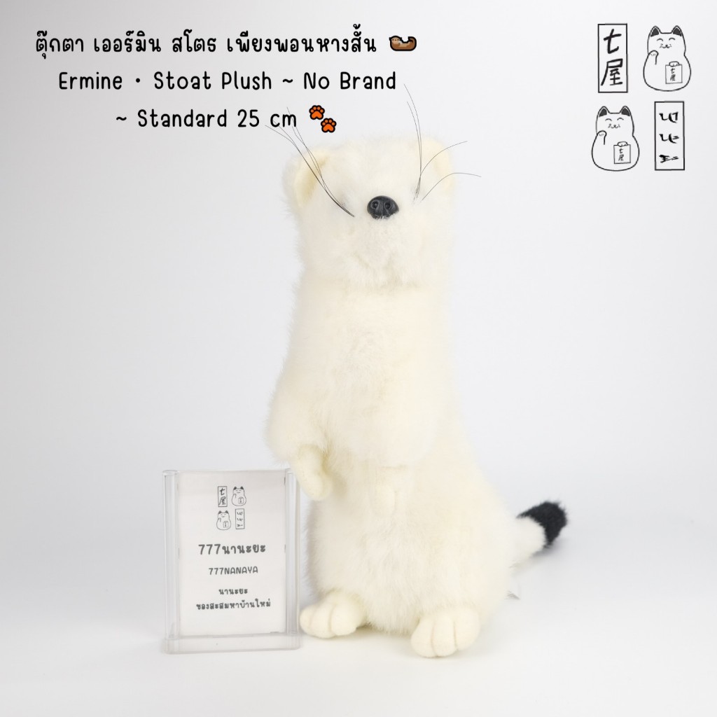 ตุ๊กตา เออร์มิน สโตธ เพียงพอนหางสั้น 🦦 Ermine ・ Stoat Plush ~ No Brand ~ Standard 25 cm 🐾