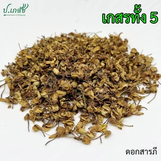 เกสรทั้ง 5 [50 / 100 กรัม] เบญจเกสร : เกสรบัวหลวง สารภี พิกุล บุนนาค มะลิ