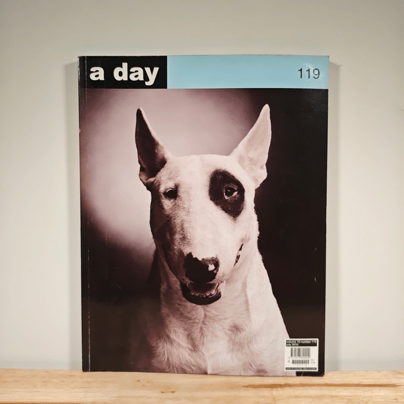 ⭐a day 119 🏷️1209520