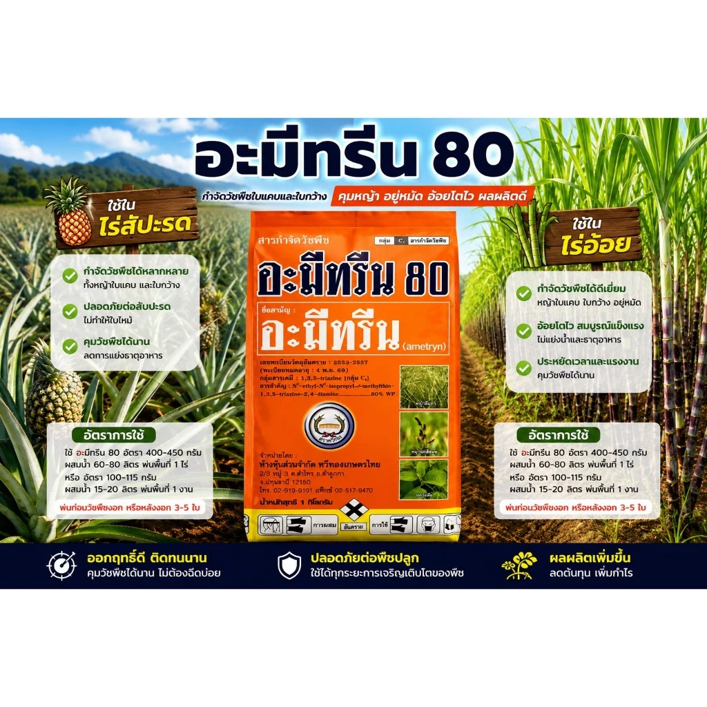 อะมีทรีน ขนาด 1 กิโลกรัม Ametryn 80% กำจัดหญ้าวัชพืชใบกว้าง ใบแคบ ฉีดทับอ้อยได้ ตราหวีทอง