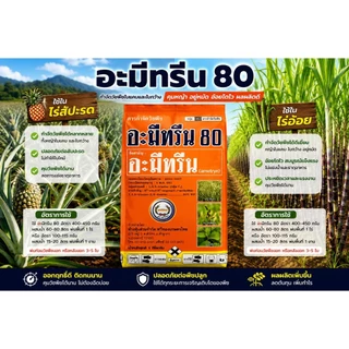 อะมีทรีน ขนาด 1 กิโลกรัม Ametryn 80% กำจัดหญ้าวัชพืชใบกว้าง ใบแคบ ฉีดทับอ้อยได้ ตราหวีทอง