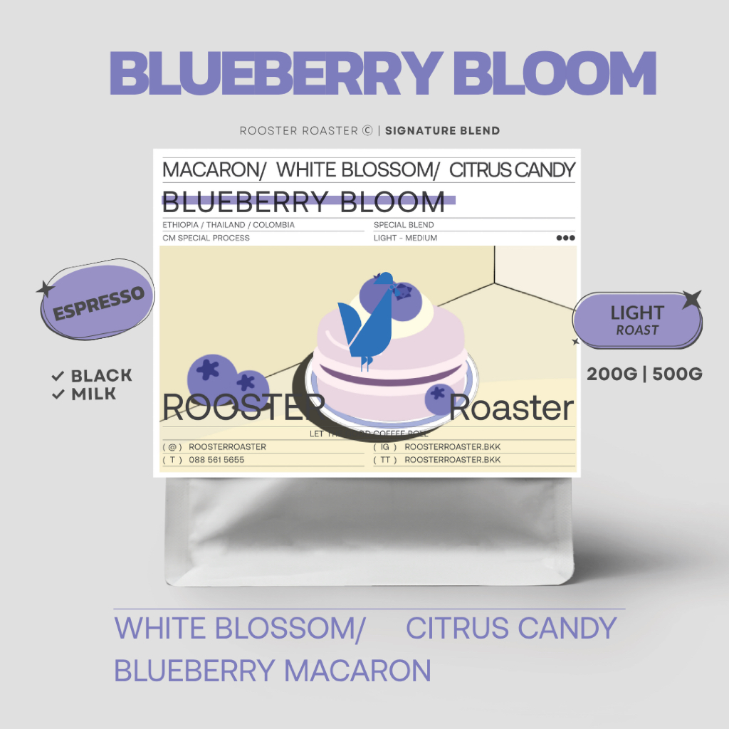 BLUEBERRY BLOOM BLEND เมล็ดกาแฟคั่วอ่อน Espresso Blend | Blueberry | Specialty Coffee | เมล็ดกาแฟชงน