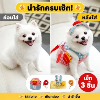 ชุดแมว 3pcs สายจูงแมว สายจูงสุนัข ชุดหมา กลางแจ้ง ระบายอากาศได้ดีและสะดวกสบาย สายจูง