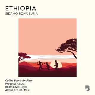 เมล็ดกาแฟ คั่วอ่อน - Ethiopia Sidamo Bona Zuria