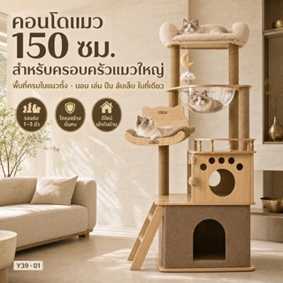 [FurryJoy]คอนโดแมว 150cm หลุมอวกาศใสใหญ่พิเศษ ไม่โยก ไม่ติดขน รับแมวตัวใหญ่ 1-3 ตัว แข็งแรง ทนทาน
