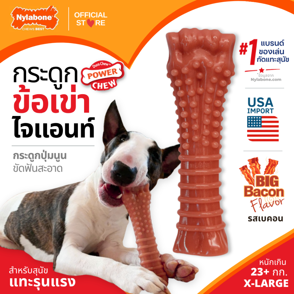Made in USA Nylabone Power Chew Textured Knuckle Bone ของเล่นกระดูกขัดฟันสุนัข มีปุ่มขัดฟัน รสเบคอน