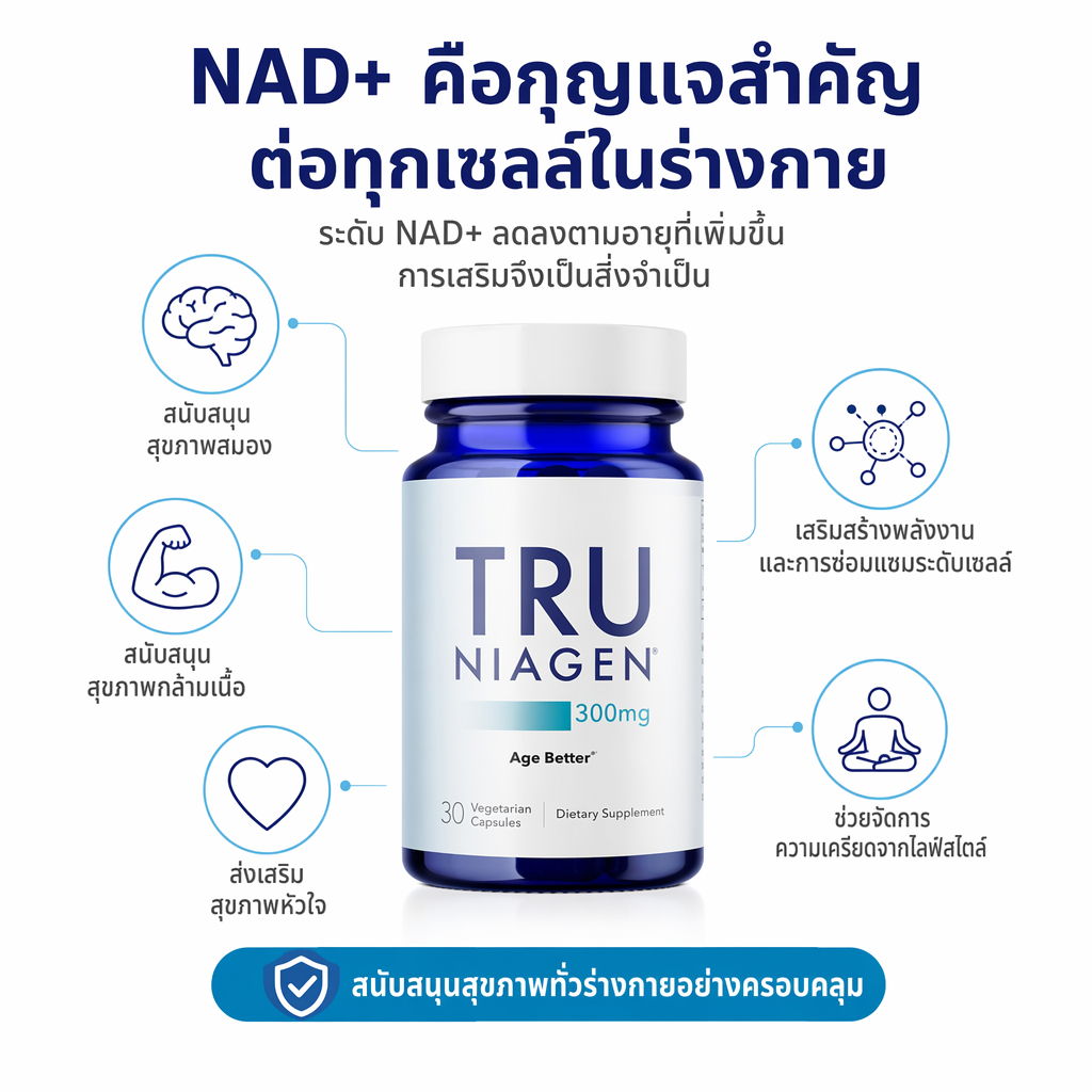 อาหารเสริม NAD+ Niagen 300mg NR พลังงานเซลล์ ฟื้นฟูร่างกาย ชะลอวัย 30 แคปซูล