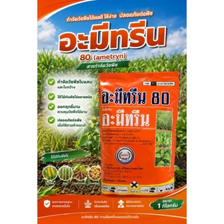 อะมีทรีน ขนาด 1 กิโลกรัม Ametryn 80% กำจัดหญ้าวัชพืชใบกว้าง ใบแคบ ฉีดทับอ้อยได้ ตราหวีทอง