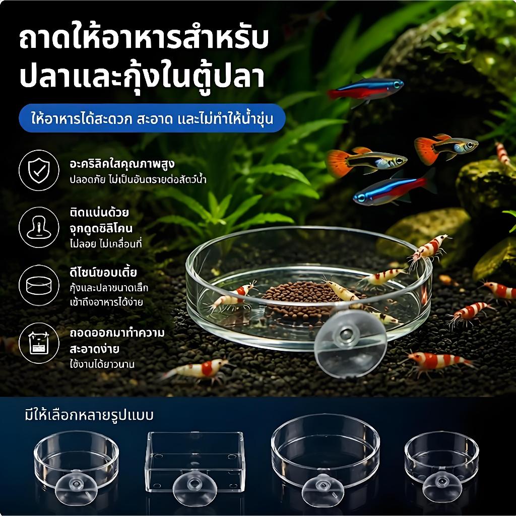 🔥พร้อมส่ง🔥กล่องใส่อาหารปลาอะคริลิกใสทรงกลมกล่องใส่อาหารกุ้งอุปกรณ์ให้อาหารปลาและกุ้ง