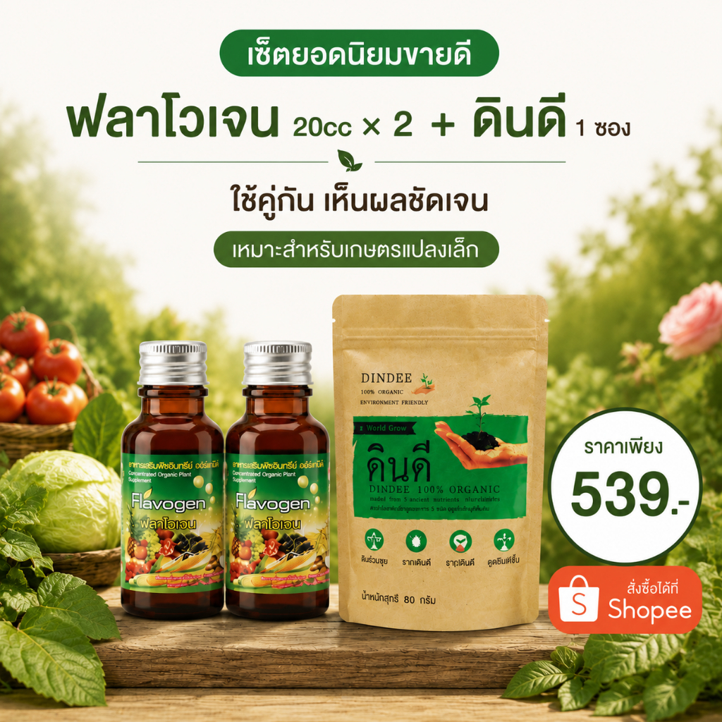 ฟลาโวเจน เซตสุดคุ้ม 20 CC x2 + ดินดี 1 ซอง (NKP)
