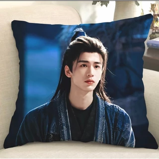 พร้อมส่ง 💗 หมอน จางหลิงเฮ่อ นุ่มฟู น่ากอด หมอน + ปลอก แถมโฟโต้การ์ดค่ะ