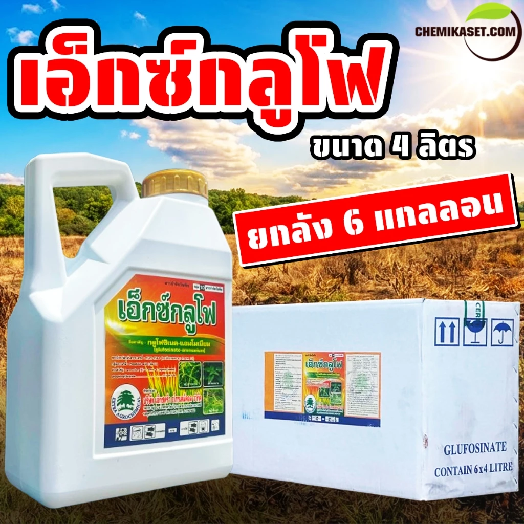 (ยกลัง6แกลลอน) เอ็กซ์กลูโฟ ขนาด 4 ลิตร กลูโฟซิเนตแอมโมเนียม กำจัดหญ้าทุกชนิด ปลอดภัยต่อพืชที่ปลูก