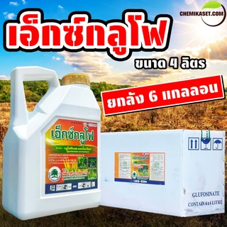 (ยกลัง6แกลลอน) เอ็กซ์กลูโฟ ขนาด 4 ลิตร กลูโฟซิเนตแอมโมเนียม กำจัดหญ้าทุกชนิด ปลอดภัยต่อพืชที่ปลูก