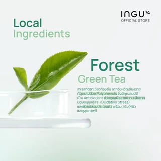 INGU 9 Peptide Plumping Oil in Serum + Mugwort PDRN (30ml)