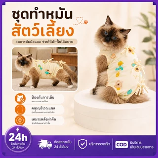 PETWELL ชุดทำหมันแมว ชุดกันเลียแผล เสื้อแมว ชุดหลังผ่าตัดแมว เสื้อหลังทำหมัน ช่วยให้แผลหายไว