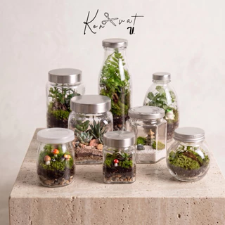 [ถูกที่สุด] ✿ ชุดจัดสวนขวด / Terrarium (DIY) *พร้อมอุปกรณ์เยอะที่สุด*
