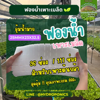 ฟองน้ำเพาะเมล็ด ฟองน้ำปลูกผักไฮโดรโปนิกส์ 96 ช่อง และ 117 ช่อง เลือกได้