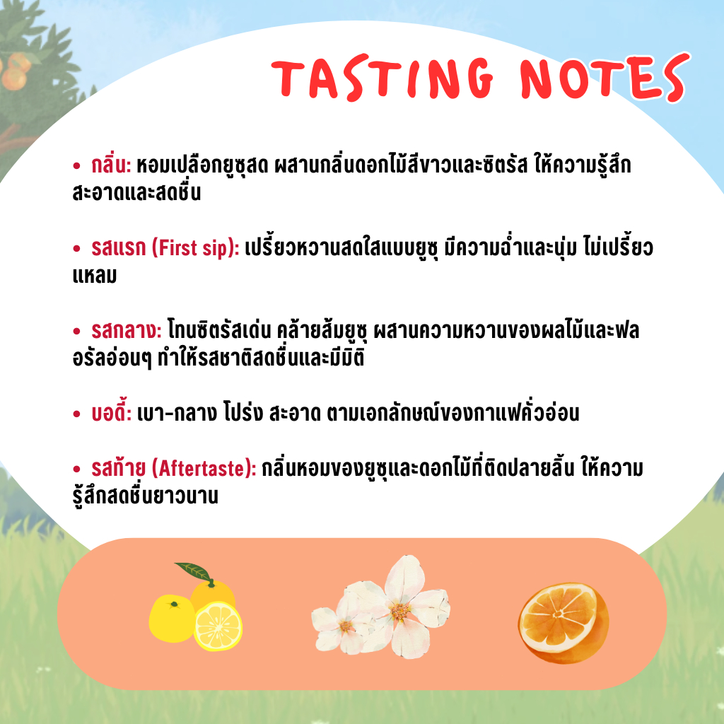 Mooday เมล็ดกาแฟ Colombia [กลิ่นส้มยูซุรัม-Yuzu Hikari] อาราบิก้า 100% คั่วอ่อน หอมธรรมชาติ ไม่เติมน้ำตาล รูปที่ 7