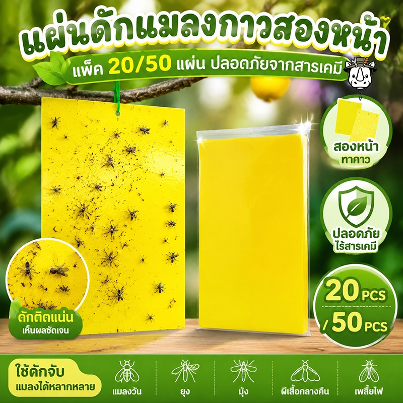 แผ่นกาวดักแมลง (มีกาวในตัว) มีให้เลือกหลายขนาด แพ็คละ 20/50/100 แผ่น กับดักแมลงกินผัก ดักแมลงศัตรูพืช กาวดักแมลงวันทอง