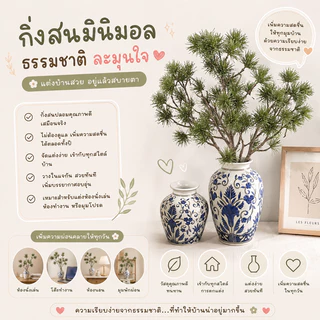 ต้นไม้ตกแต่งสไตล์ญี่ปุ่น ต้นสนญี่ปุ่นประดิษฐ์ แต่งบ้านสไตล์ญี่ปุ่น เพิ่มความสงบและอบอุ่นให้มุมบ้าน