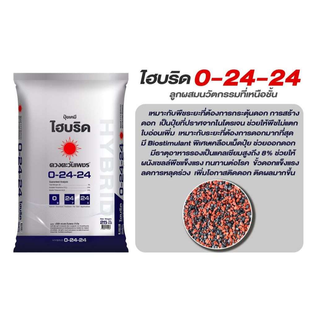 1 กก ปุ๋ยไฮบริด 0-24-24 สำหรับเปิดตาดอก กดใบไม่มีไนโตรเจน ลดการแตกยอดอ่อน ดวงตะวันเพชร