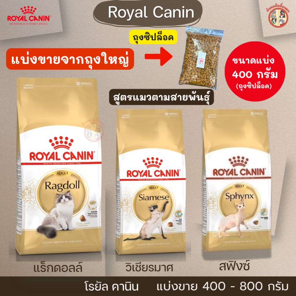 [แบ่งขาย] Royal Canin อาหารเม็ดแมวโตพันธุ์แร็กดอลล์ วิเชียรมาศ เปอร์เซีย สฟิงซ์(Ragdoll ,Siamese ,Sphynx) โรยัล คานิน