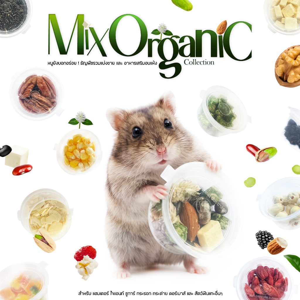 อาหารแฮมเตอร์ ขนมแฮมเตอร์ ธัญพืชออเเกนิครวมแฮมเตอร์ Mix Organic สำหรับ หนู แฮมเตอร์ ชูการ์ กระรอก กระต่าย ดอร์เม้าท์
