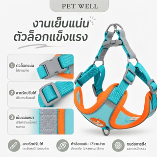สําหรับสัตว์เลี้ยง PETWELL ชุดเชือกจูง สะท้อนแสง ปรับได้ สุนัข แมว สายรัดสุนัขสัตว์เลี้ยง วัสดุกำมะหยี่