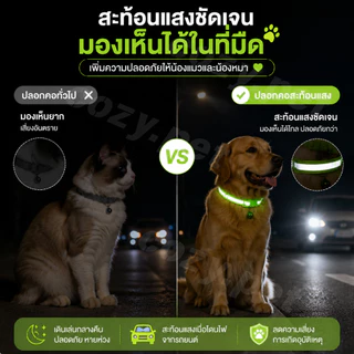 ปลอกคอแมวสะท้อนแสง พร้อมกระดิ่ง 🔔 ปลอดภัยตอนกลางคืน ไนลอนนุ่ม ปรับขนาดได้ ไม่รัดคอ สำหรับแมวและสุนัข
