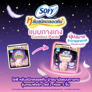 Sofy โซฟี หลับสนิทตลอดคืน ผ้าอนามัยแบบกางเกง ไซส์ L จำนวน 5 ชิ้น (2 แพ็ค) Sofy Night Pants Size L 5 pcs Pack 2