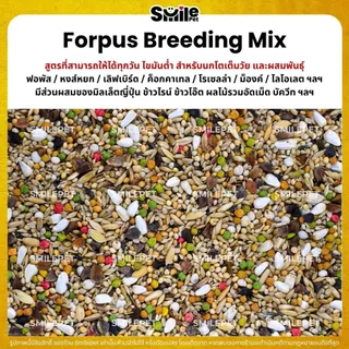 Petlover Forpus Breeding อาหารนกแก้ว ฟอพัส สูตรโตเต็มวัย และเพาะพันธุ์ (แบ่งขาย 500G / 1KG)