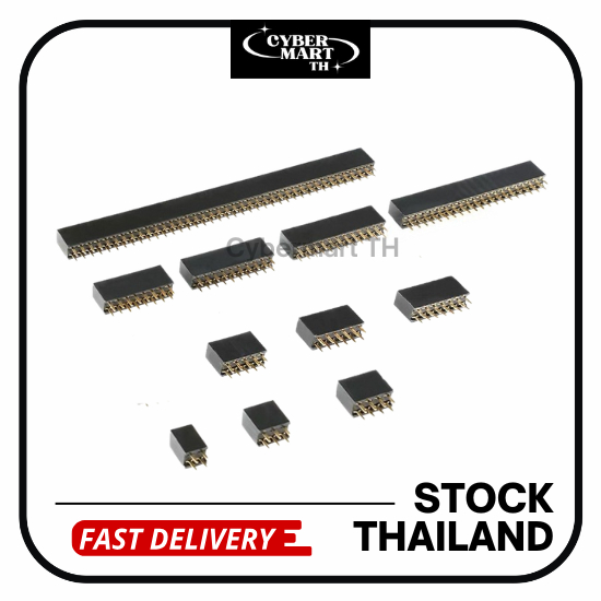 Female Header Socket Double Row 2.54mm คอนเนคเตอร์ตัวเมียแถวคู่ 2–40 Pin สำหรับ Arduino PCB DIY