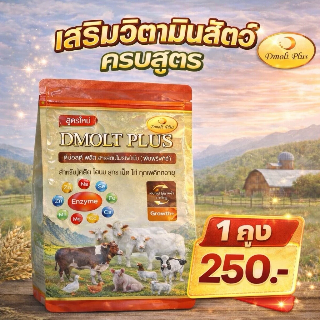 DMOLT PLUS อาหารเสริมดีมอลต์พลัส 1 ถุง