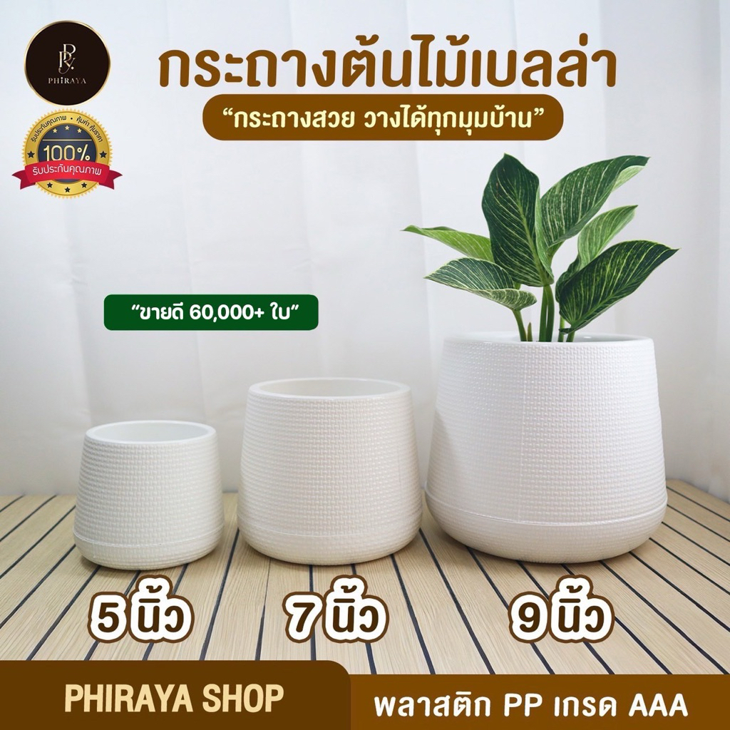 กระถางเบลล่า สไตล์มินิมอล ขนาด 5 นิ้ว 7 นิ้ว  9 นิ้ว พลาสติก